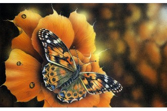 Елмазен гоблен Пеперуда и оранжево цвете